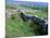 Rock Walls, Aran Island, Inishmore, Ireland-Marilyn Parver-Mounted Photographic Print