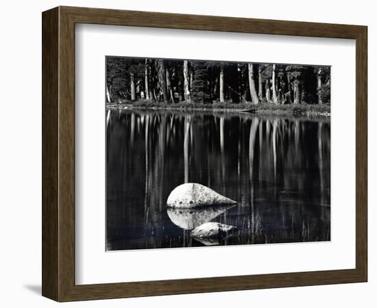 Rock, water, tree, High Sierra (b/w photo)-Brett Weston-Framed Photographic Print