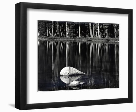 Rock, water, tree, High Sierra (b/w photo)-Brett Weston-Framed Photographic Print