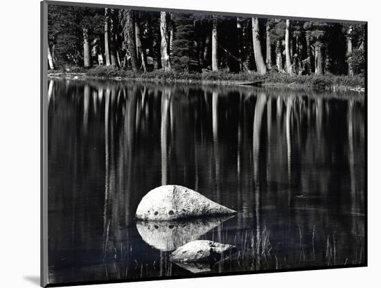 Rock, water, tree, High Sierra (b/w photo)-Brett Weston-Mounted Photographic Print