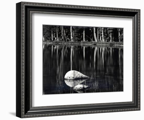 Rock, water, tree, High Sierra (b/w photo)-Brett Weston-Framed Photographic Print