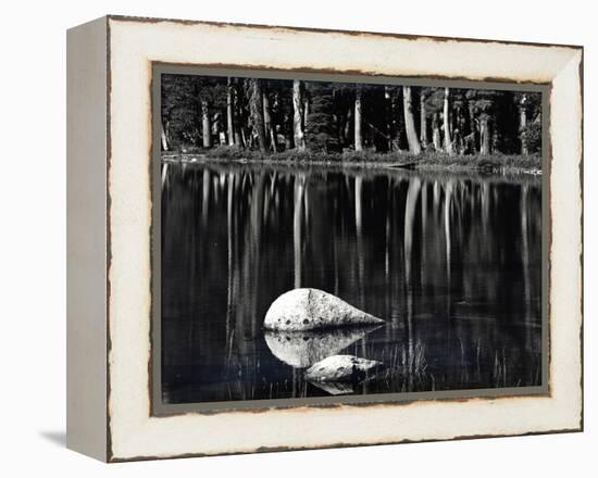 Rock, water, tree, High Sierra (b/w photo)-Brett Weston-Framed Premier Image Canvas