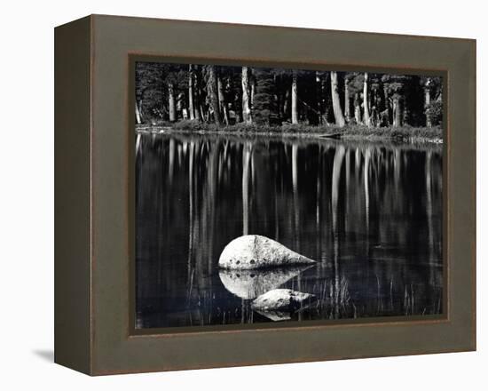 Rock, water, tree, High Sierra (b/w photo)-Brett Weston-Framed Premier Image Canvas