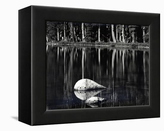 Rock, water, tree, High Sierra (b/w photo)-Brett Weston-Framed Premier Image Canvas