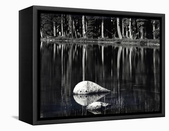 Rock, water, tree, High Sierra (b/w photo)-Brett Weston-Framed Premier Image Canvas