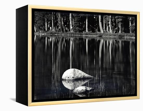 Rock, water, tree, High Sierra (b/w photo)-Brett Weston-Framed Premier Image Canvas
