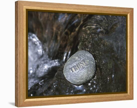 Rock with the Word Trust in Water-null-Framed Premier Image Canvas