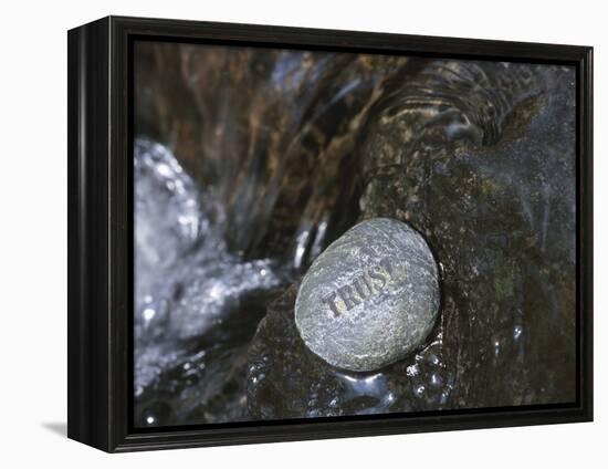 Rock with the Word Trust in Water-null-Framed Premier Image Canvas