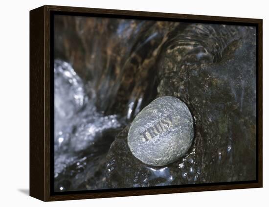 Rock with the Word Trust in Water-null-Framed Premier Image Canvas