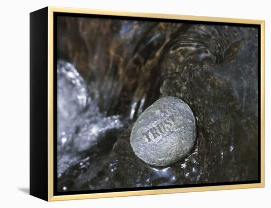 Rock with the Word Trust in Water-null-Framed Premier Image Canvas