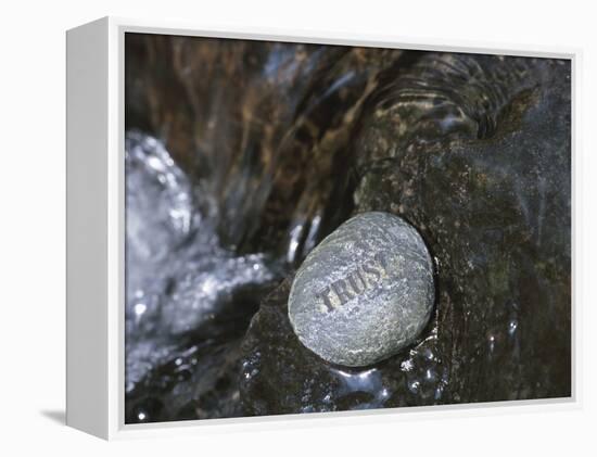 Rock with the Word Trust in Water-null-Framed Premier Image Canvas