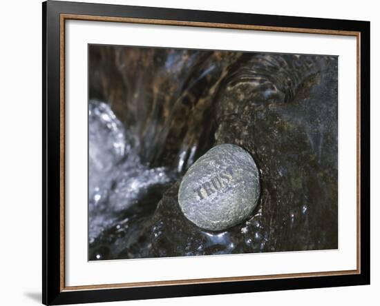 Rock with the Word Trust in Water--Framed Photographic Print