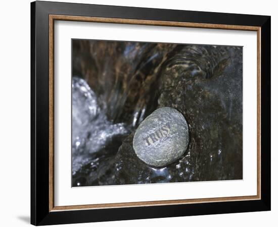 Rock with the Word Trust in Water-null-Framed Photographic Print