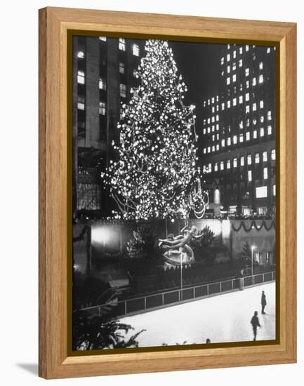 Rockefeller Center Christmas Tree at Night-Alfred Eisenstaedt-Framed Premier Image Canvas