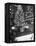 Rockefeller Center Christmas Tree at Night-Alfred Eisenstaedt-Framed Premier Image Canvas