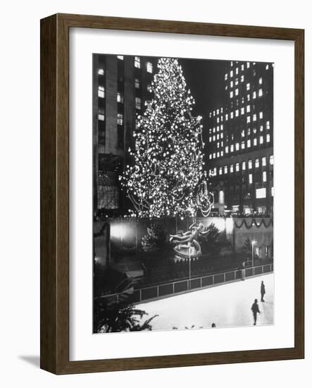 Rockefeller Center Christmas Tree at Night-Alfred Eisenstaedt-Framed Photographic Print