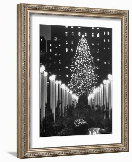 Rockefeller Center Christmas Tree at Night-Alfred Eisenstaedt-Framed Photographic Print