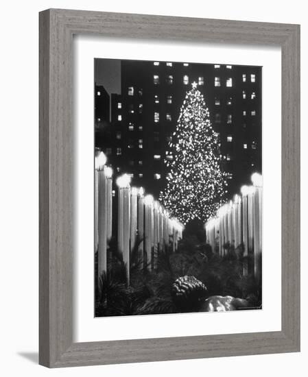 Rockefeller Center Christmas Tree at Night-Alfred Eisenstaedt-Framed Photographic Print