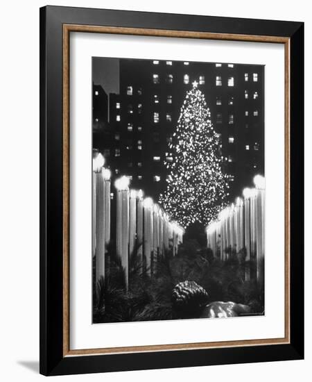 Rockefeller Center Christmas Tree at Night-Alfred Eisenstaedt-Framed Photographic Print