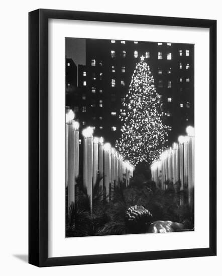 Rockefeller Center Christmas Tree at Night-Alfred Eisenstaedt-Framed Photographic Print