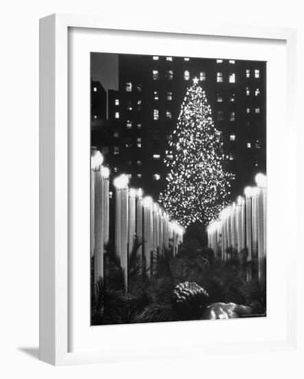 Rockefeller Center Christmas Tree at Night-Alfred Eisenstaedt-Framed Photographic Print