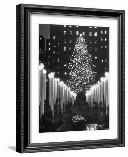 Rockefeller Center Christmas Tree at Night-Alfred Eisenstaedt-Framed Photographic Print