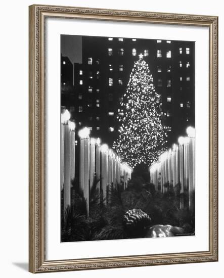 Rockefeller Center Christmas Tree at Night-Alfred Eisenstaedt-Framed Photographic Print