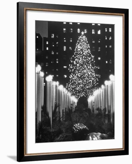 Rockefeller Center Christmas Tree at Night-Alfred Eisenstaedt-Framed Photographic Print