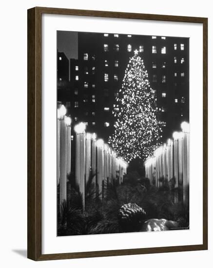 Rockefeller Center Christmas Tree at Night-Alfred Eisenstaedt-Framed Photographic Print