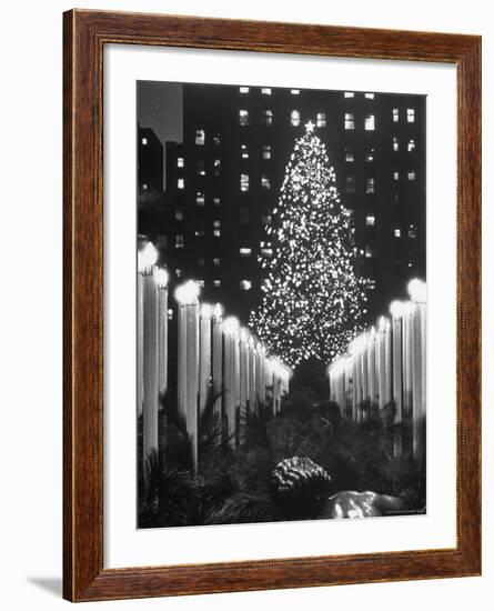 Rockefeller Center Christmas Tree at Night-Alfred Eisenstaedt-Framed Photographic Print