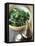 Rocket Salad with Vinaigrette-Jean Cazals-Framed Premier Image Canvas