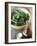 Rocket Salad with Vinaigrette-Jean Cazals-Framed Photographic Print