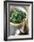 Rocket Salad with Vinaigrette-Jean Cazals-Framed Photographic Print