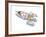 Rocket-HR-FM-Framed Art Print