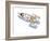 Rocket-HR-FM-Framed Art Print