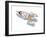 Rocket-HR-FM-Framed Art Print