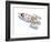 Rocket-HR-FM-Framed Art Print