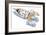 Rocket-HR-FM-Framed Art Print