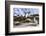 Rockhopper Penguin Hopping up and down the cliffs. Falkland Islands-Martin Zwick-Framed Photographic Print