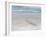 Rockhopper Penguin Landing as a Group, Crossing the Wet Beach-Martin Zwick-Framed Photographic Print