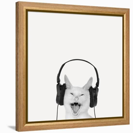 Rockin’ Kitten-Jon Bertelli-Framed Stretched Canvas