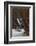 Rocking Chair on an Attic, Copenhagen, Denmark, Scandinavia-Axel Schmies-Framed Photographic Print