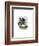 Rocking Horse Fly-Fab Funky-Framed Art Print