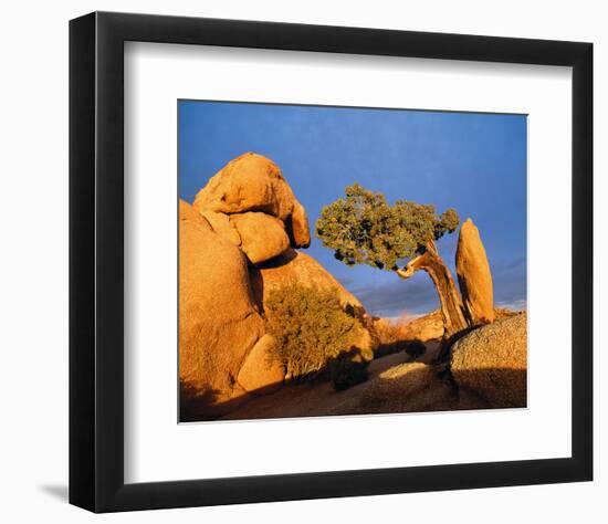 Rocking Tree-null-Framed Premium Giclee Print