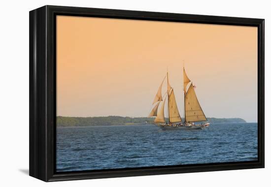 Rockland, Maine, USA Windjammer Schooner called the Mary Day.-Bill Bachmann-Framed Premier Image Canvas