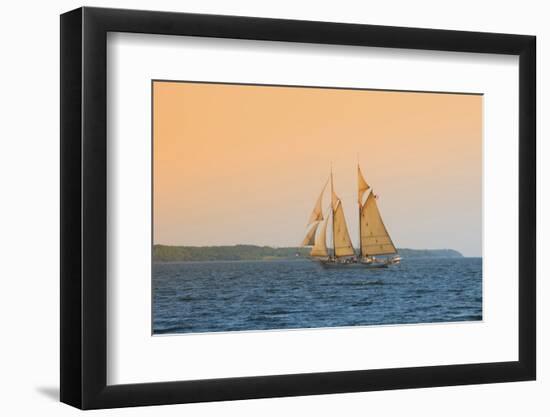 Rockland, Maine, USA Windjammer Schooner called the Mary Day.-Bill Bachmann-Framed Photographic Print