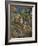 Rocks Above the Caves at Chateau Noir-Paul Cézanne-Framed Giclee Print