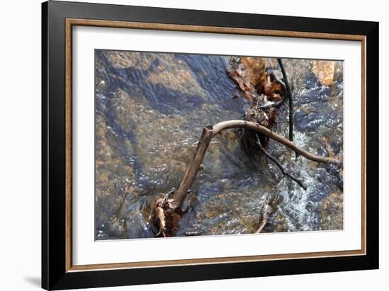 Rocks and A Stick-Audrey-Framed Giclee Print