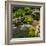 Rocks and plants in Rock Garden, Knowlton, Quebec, Canada-null-Framed Photographic Print