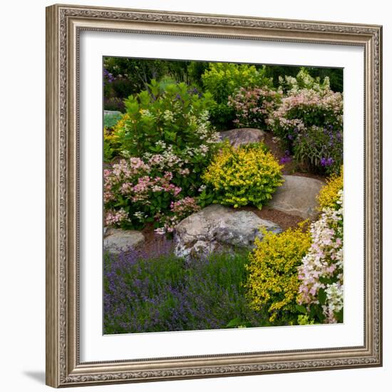 Rocks and plants in Rock Garden, Knowlton, Quebec, Canada-null-Framed Photographic Print